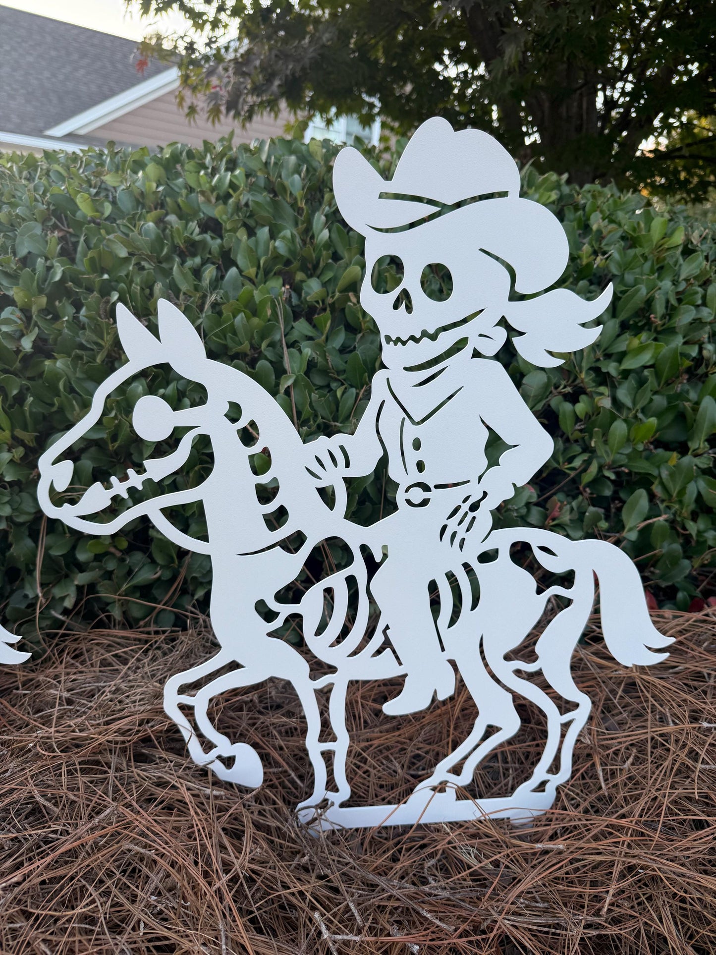 Cowboy & Cowgirl Skeletons Horseback riding Yard Stakes