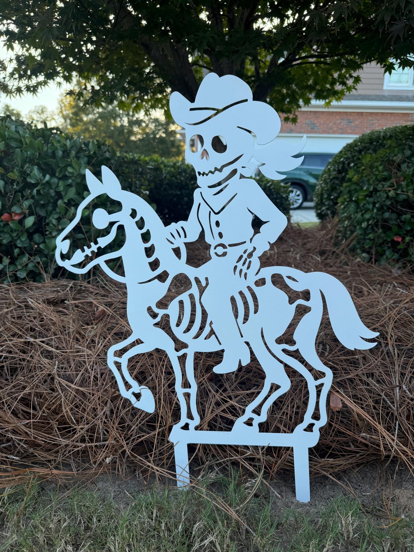 Cowboy & Cowgirl Skeletons Horseback riding Yard Stakes